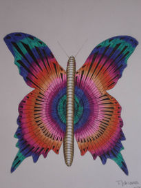 Mariposa a colores