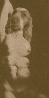 "CINOCÉFALOS"