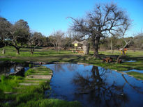 La Naturaleza pintò...