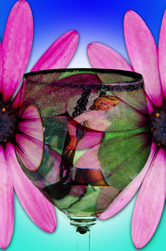 entre flores Conceptual/Abstract Color (Digital)