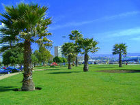 Green  and blue