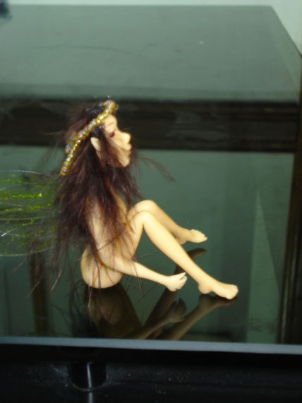 Modelados