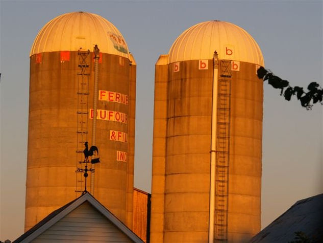 Silos Arquitectura e interiorismo Color (Digital)