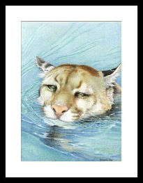 Puma en el agua