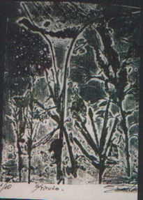 Histerectomia
