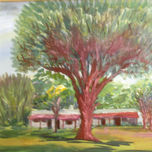 Rural thumbnail 2