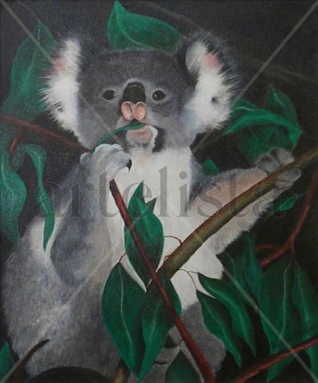 KOALA Oil Canvas Animals