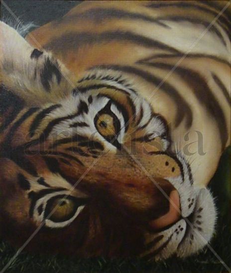 El reposo del tigre