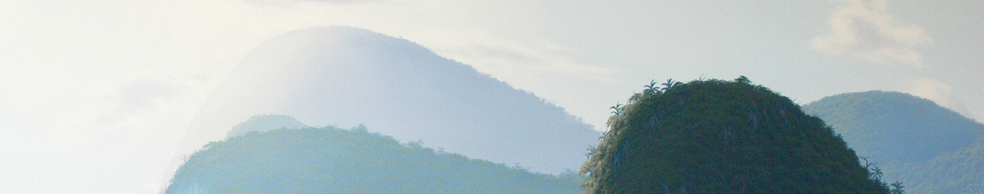 Imagen de portada