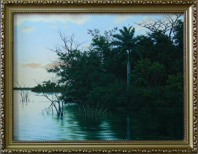 Atardecer en la Cienaga