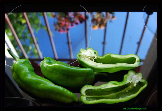 Pausa fotográfica antes de cocinar Still lifes Color (Digital)