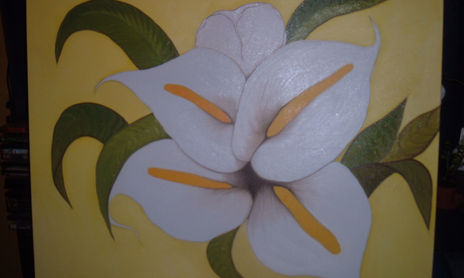 Flores