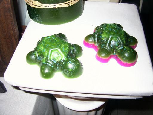 TORTUGAS 