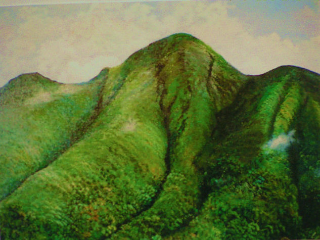 Pico Turquino Oil Canvas Landscaping