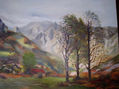 Picos de Europa