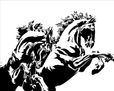 Caballo Maldito I