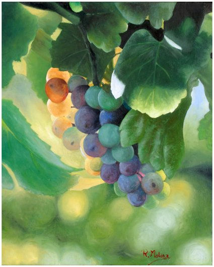 uvas Oil Canvas Landscaping