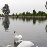 Santa Amalia Cisnes thumbnail 2