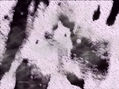 Limbo