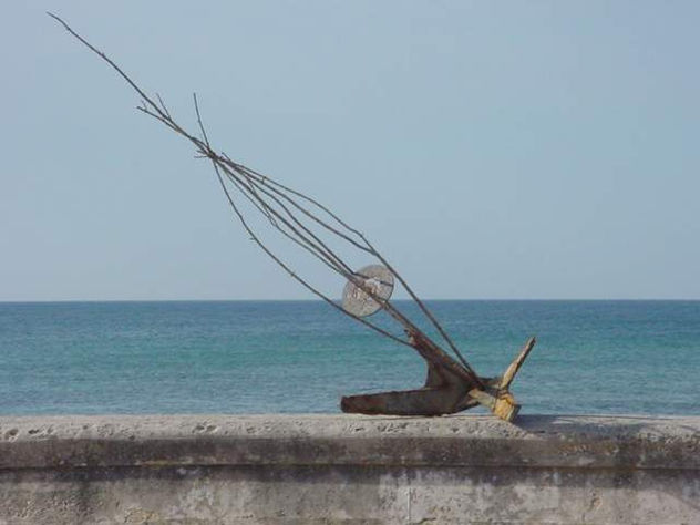 CACHON 9