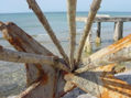 CACHON 9