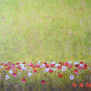 campo de flores