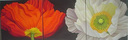 Amapolas x2