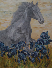 Caballo Gris