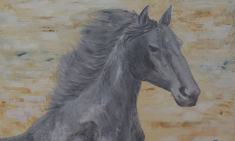 Animales