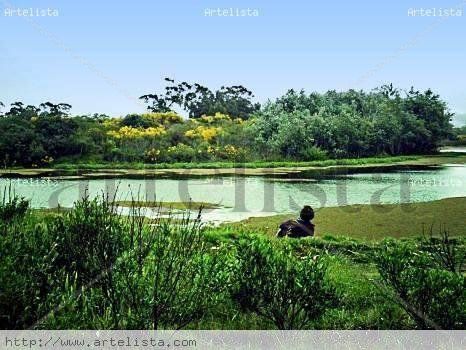 INMERSO  EN  LA   NATURALEZA