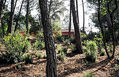 Naturaleza1