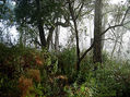 Naturaleza4