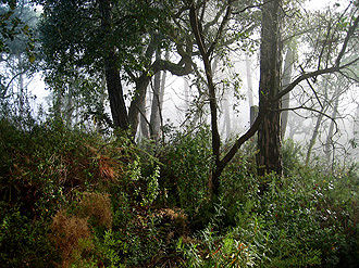Naturaleza4