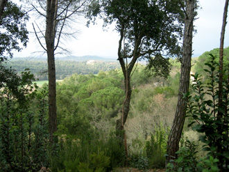 Naturaleza7