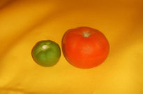 Tomate y jitomate