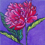 flores thumbnail 2