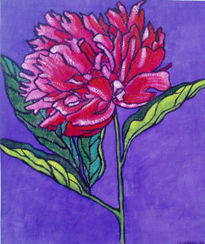 Peonia01