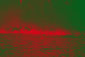 Ombres.