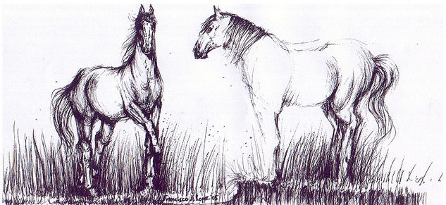 Caballos III 