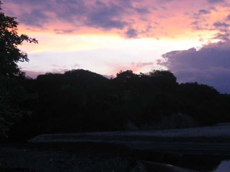 Alba