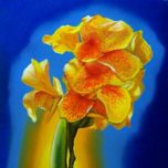 FLORES thumbnail 1