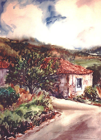 Paisaje Canario Watercolour Canvas