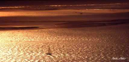 Atardecer