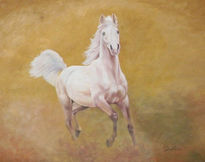 Caballo Blanco