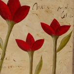 FLORES thumbnail 1