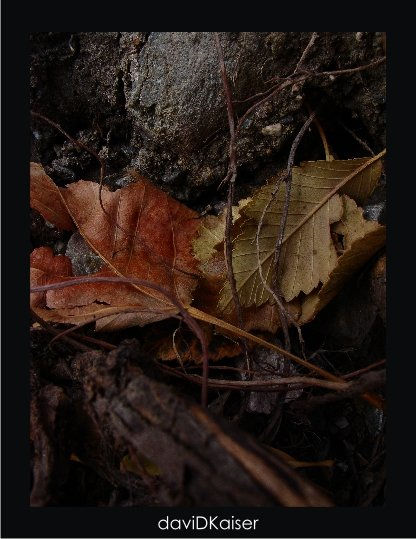 PISTAS DE OTOÑO II