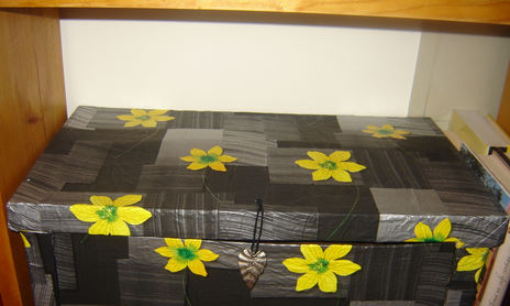 Cajas de cartón