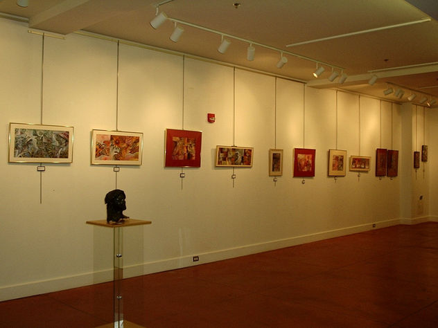Museo Ratner, EEUU: 20 acrilicos y oleos sobre tela, tabla y papel, originales de Bidolegui.
