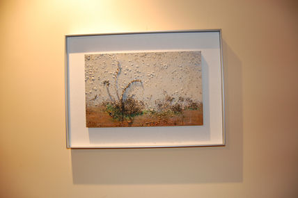 Natura ferrea 2