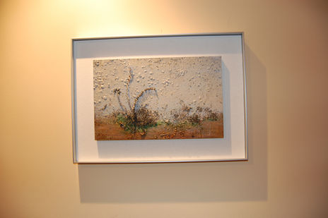 Natura ferrea 2